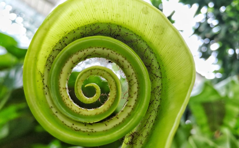 Take a deep&nbsp;breath